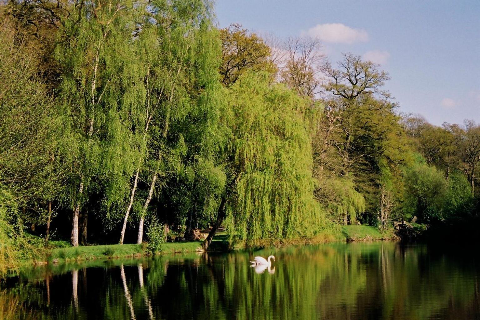 Cit'Hotel Le Relais Du Boisniard Chambretaud Zewnętrze zdjęcie